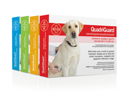 QuadriGuard® products
