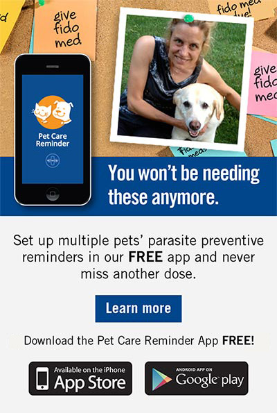 Vethical Pet Care Reminder App for iOS and Android