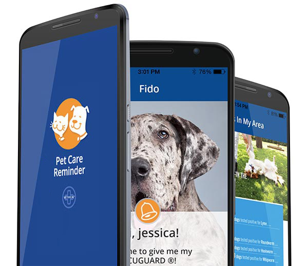 Vethical Pet Care Reminder App